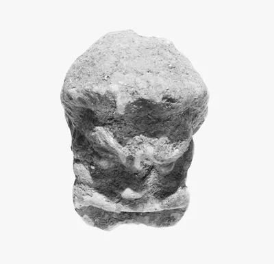 Head of a Comic Actor
