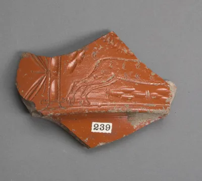 Vase fragment