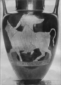 AMPHORA, NECK (ATHENIAN, RED-FIGURE)