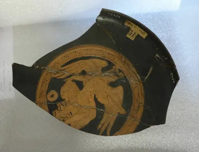 coupe ; fragment