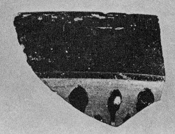 CUP, LITTLE MASTER BAND, FRAGMENT (ATHENIAN, BLACK-FIGURE)