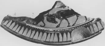 STAND, FRAGMENT (ATHENIAN, BLACK-FIGURE)