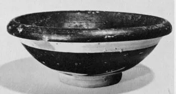 DISH (SOUTH ITALIAN)