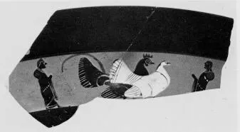 CUP, LITTLE MASTER BAND, FRAGMENT (ATHENIAN, BLACK-FIGURE)