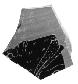 AMPHORA, NECK, FRAGMENT (ATHENIAN, BLACK-FIGURE)