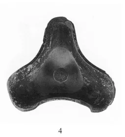 LID (CORINTHIAN)