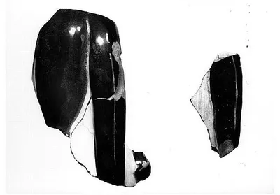 rhyton  ; vase plastique