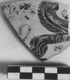 FRAGMENT (ATHENIAN, BLACK-FIGURE)