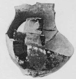 FRAGMENT (ETRUSCAN, RED-FIGURE)