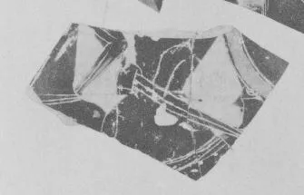 AMPHORA, BELLY, FRAGMENT (ATHENIAN, BLACK-FIGURE)