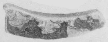 CUP, FRAGMENT (ATHENIAN, RED-FIGURE)