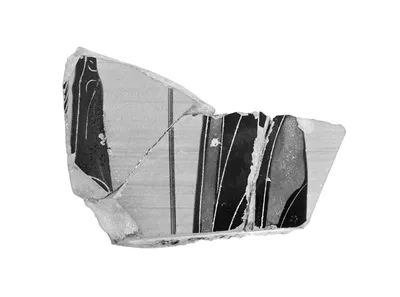Attic Black-Figure Calyx Krater Fragments (comprised of 3 joined fragments)