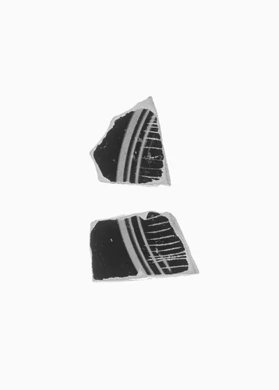 Fragment of an Attic Black-Figure Cup