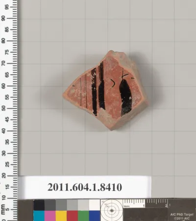 Terracotta fragment of a kylix (drinking cup)