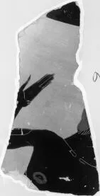 AMPHORA, PANATHENAIC PRIZE, FRAGMENT (ATHENIAN, BLACK-FIGURE)