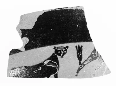Attic Black-Figure Band Cup Fragment