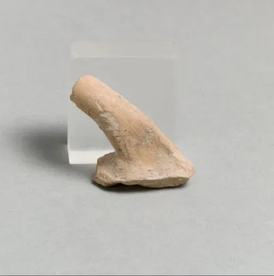 Vase fragment
