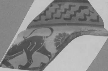 CUP, FRAGMENT (ATHENIAN, BLACK-FIGURE)