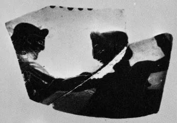 OINOCHOE, FRAGMENT (ATHENIAN, BLACK-FIGURE)