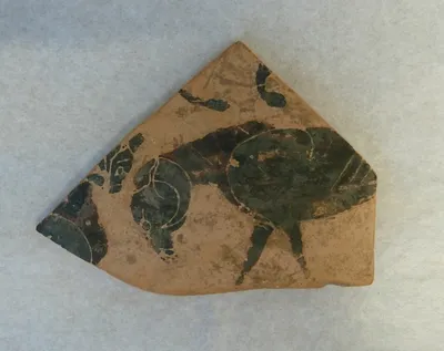 vase ; fragment