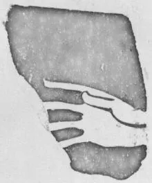 FRAGMENT (ATHENIAN, RED-FIGURE)