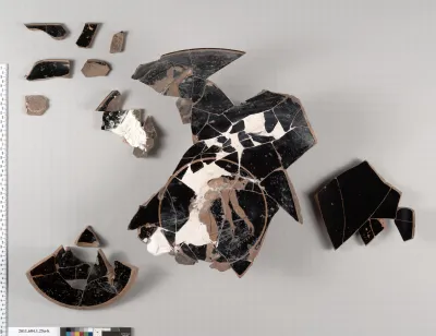 Terracotta fragments of a kylix (drinking cup)