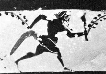 SKYPHOS (ATHENIAN, BLACK-FIGURE)