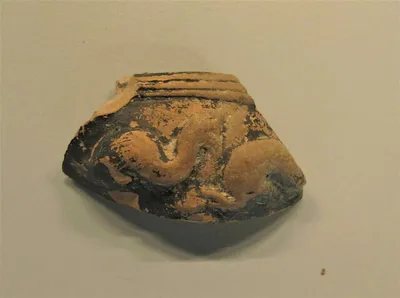 vase