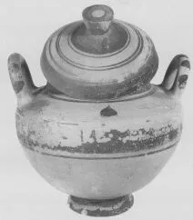PYXIS (DAUNIAN)