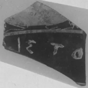 CUP, SIANA, FRAGMENT (ATHENIAN, BLACK-FIGURE)