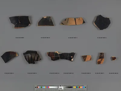 Attic Black-Figure Column Krater Fragment (part of 81.AE.207.408, comprised of 2 joined fragments)