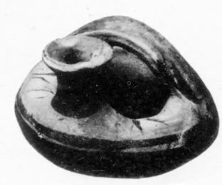 ASKOS (CRETAN)