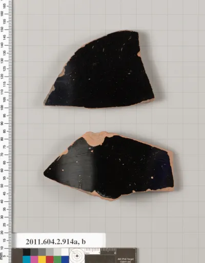 Terracotta fragments of bell-kraters (bowls for mixing wine and water)?