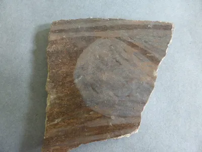 vase ; fragment