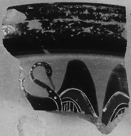 AMPHORA, NECK, FRAGMENT (ATHENIAN, BLACK-FIGURE)