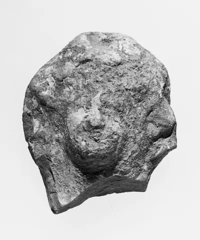Female Head