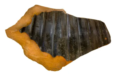 Volute-krater fragment