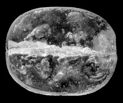 Cast scaraboid gem
