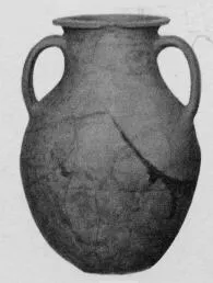 AMPHORA, BELLY (ROMAN)