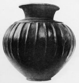 JAR (VILLA NOVA)