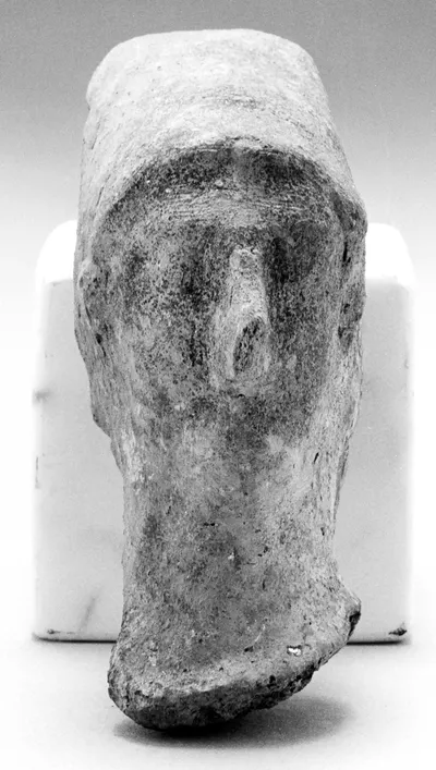Male Head