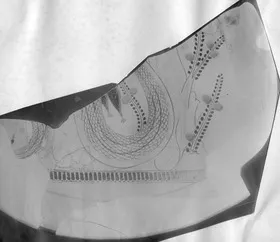 CUP, FRAGMENTS (ATHENIAN, RED-FIGURE)