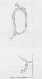 AMPHORA, NECK (SOUTH ITALIAN, APULIAN, RED-FIGURE)