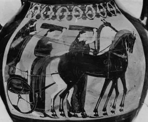 AMPHORA, BELLY, TYPE B (ATHENIAN, BLACK-FIGURE)