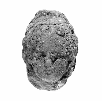 Head with Knidian Coiffure