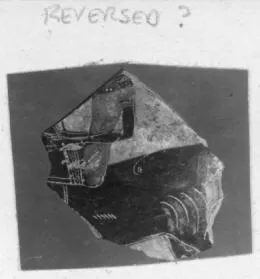 AMPHORA, NECK, FRAGMENT (ATHENIAN, BLACK-FIGURE)