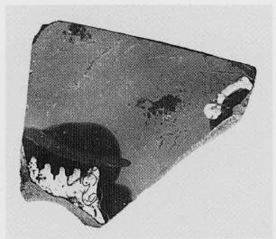 AMPHORA, NECK, FRAGMENT (ATHENIAN, BLACK-FIGURE)