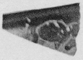 CUP, FRAGMENT (ATHENIAN, RED-FIGURE)