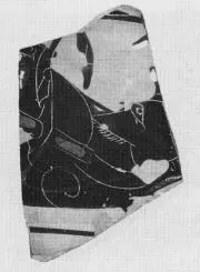 AMPHORA, BELLY, FRAGMENT (ATHENIAN, BLACK-FIGURE)