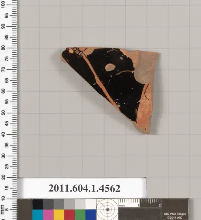 Terracotta fragment of a kylix (drinking cup)